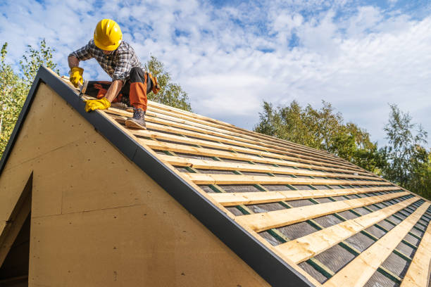 Roof Gutter Cleaning in Brazoria, TX